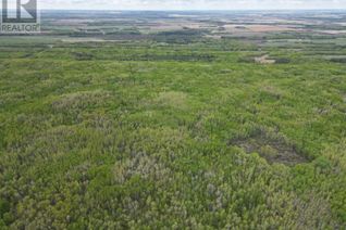 Land for Sale, Sw-28-65-22-4, Rural Athabasca County, AB