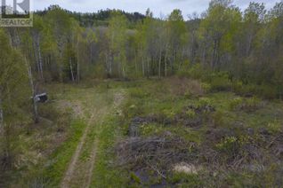 Land for Sale, 142 Cloud River Rd, NEEBING, ON