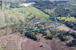 Vacant Residential Land for Sale, E1/4 Sec19 Sturgess Rd, Courtenay, BC