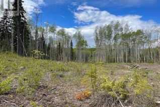 Commercial Land for Sale, 2575 Wallace Road, Burns Lake, BC