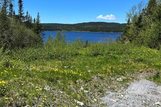 Commercial Land for Sale, 110 Beaver Pond Road, Georges Lake, NL