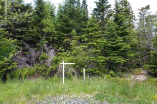 Commercial Land for Sale, 12 Dragonfly Lane, Herring Cove, NS