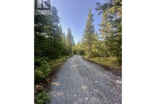 Land for Sale, A Williams Creek Avenue #LOT, Terrace, BC