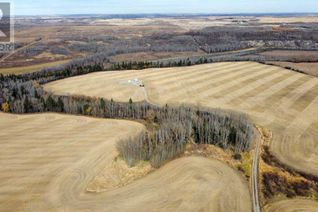 Commercial Land for Sale, On Range Road 232, Rural Red Deer County, AB
