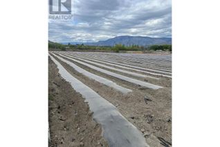Commercial Farm for Sale, 292 9 Road, Oliver, BC