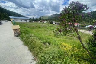 Vacant Residential Land for Sale, 355 S Copper Avenue, Greenwood, BC