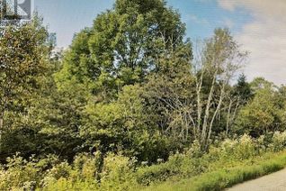 Commercial Land for Sale, 383 & 399 Damascus Road, Damascus, NB