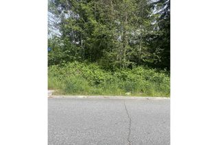 Land for Sale, 32709 Antelope Avenue, Mission, BC