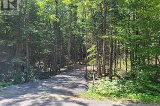 Commercial Land for Sale, Lot 5 Fairy Falls Road, Lake of Bays (Mclean), ON