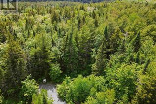 Land for Sale, Lady Slipper Lane, Mount Uniacke, NS