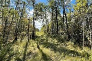 Land for Sale, 23 Acres South Of Goodsoil, Beaver River Rm No. 622, SK