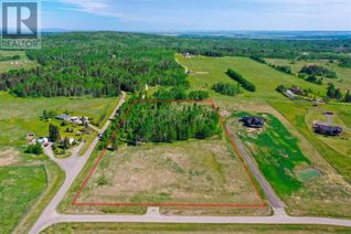 Commercial Land for Sale, 252186 2157 Drive W, Rural Foothills County, AB