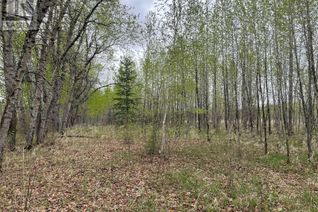 Land for Sale, 5.5km South Of Dorintosh Lot 4, Meadow Lake Rm No.588, SK