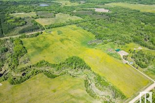 Land for Sale, 49010a Rge Rd 43, Rural Brazeau County, AB