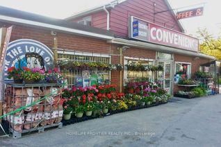 Business for Sale, 372 The Queens S Way, Georgina, ON