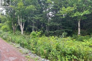 Property for Sale, Lot #2 Bar Road, RANDOM ISLAND, NL