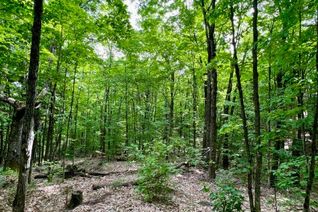 Land for Sale, 0 Wintergreen (Old Harlow) Rd, North Frontenac, ON