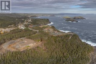 Commercial Land for Sale, 0 Bauline East Road, Southern Shore, NL