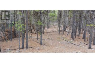 Commercial Land for Sale, 22455 Chilcotin-Bella Coola Hwy 20 Highway, Chilcotin, BC