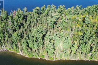 Land for Sale, 3 Five Point Island, South of Keewatin, ON