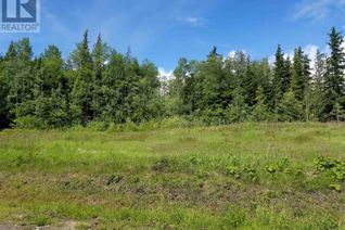 Commercial Land for Sale, 840 S 37 Highway #DL, Terrace, BC