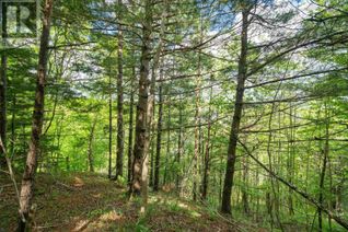 Land for Sale, 27 Copperhead Road, Fall River, NS