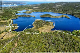 Land for Sale, 70 Butter Pot Road, Holyrood, NL