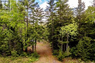 Commercial Land for Sale, Lot 68 White Tail Pass, Vaughan, NS