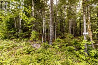 Land for Sale, Lot 67 White Tail Pass, Vaughan, NS