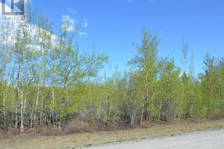 Land for Sale, 107 & 109- Fireweed Street, Haines Junction, YT