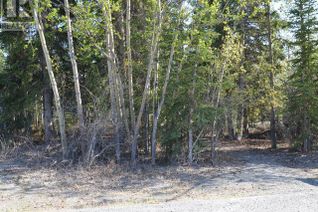 Land for Sale, 115 - 117 St Elias, Haines Junction, YT