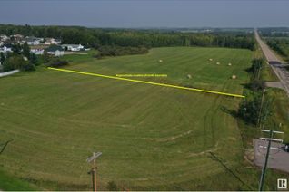 Commercial Land for Sale, 5002 50 St, Rural Brazeau County, AB