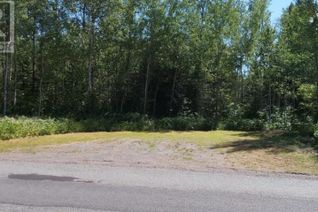 Commercial Land for Sale, Section 6 Con 7 Sturgeon Bay Rd, Neebing, ON