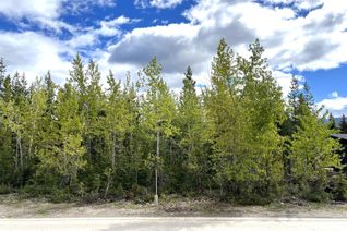 Vacant Residential Land for Sale, 4 Dallas Place, Elkford, BC
