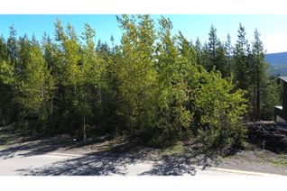Vacant Residential Land for Sale, 4 Dallas Place, Elkford, BC