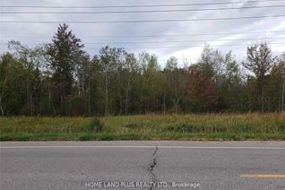 Vacant Residential Land for Sale, 2690 Innisfil Beach Rd, Innisfil, ON