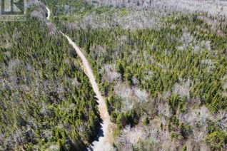 Commercial Land for Sale, Grant 16738 Moser River North Road, Moser River, NS