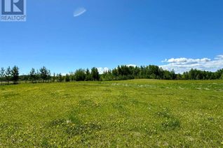 Land for Sale, 374072 Range Road 4-3, Rural Clearwater County, AB