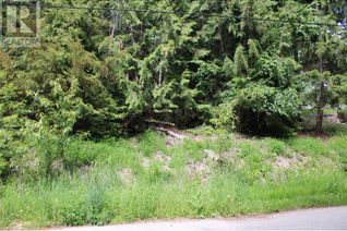 Commercial Land for Sale, Lot 13 Stampede Trail, Anglemont, BC