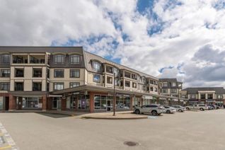 Condo Apartment for Sale, 8880 202 Street #229, Langley, BC