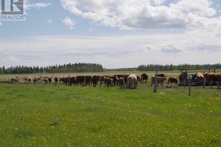 Land for Sale, Township Road 40-0, Rural Clearwater County, AB