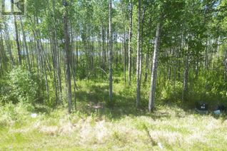 Commercial Land for Sale, 7 Branch Lake, Loon Lake, SK