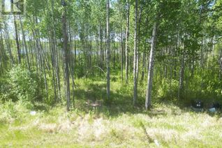 Land for Sale, 7 Branch Lake, Loon Lake, SK