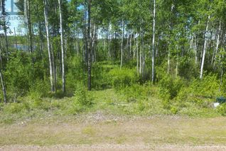 Land for Sale, 13 Branch Lake, Loon Lake, SK