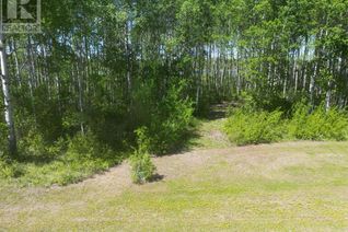 Land for Sale, 15 Branch Lake, Loon Lake, SK