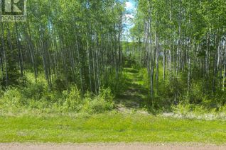 Commercial Land for Sale, 5 Branch Lake, Loon Lake, SK