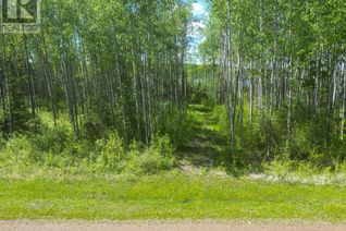 Land for Sale, 5 Branch Lake, Loon Lake, SK