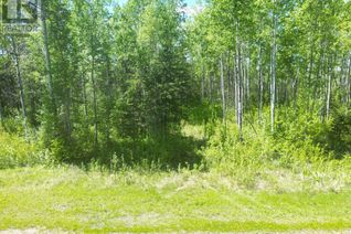 Commercial Land for Sale, 3 Branch Lake, Loon Lake, SK