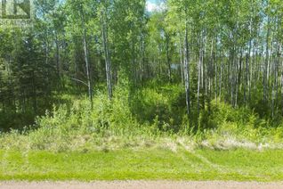 Land for Sale, 4 Branch Lake, Loon Lake, SK