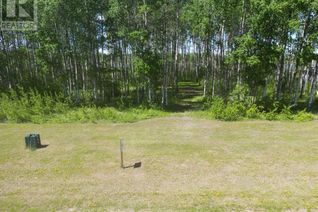 Land for Sale, 16 Branch Lake, Loon Lake, SK